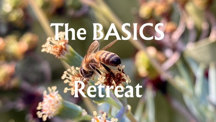 Product image for The BASICS Retreat