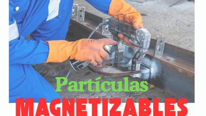 Product image for Curso Partículas Magnéticas