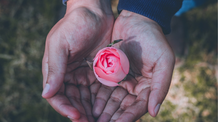 Product image for Cultivating Therapeutic Safety