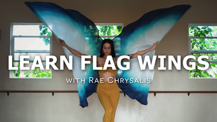 Product image for Flag Wings Course