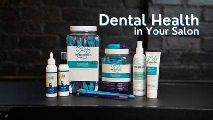 Product image for Dental Health in Your Salon