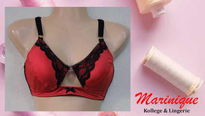 Product image for Course 25: Seychelle Bra.