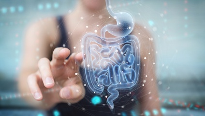 Product image for Naturopathic & Functional Medicine Approaches to Gastrointestinal Disorders - 2025 Term