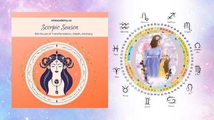 Product image for Explore the Teachings of Scorpio Season + Bonus Gift