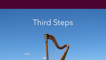 Product image for Third Steps