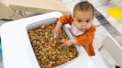 Product image for An Introduction To Sensory Processing In Children 