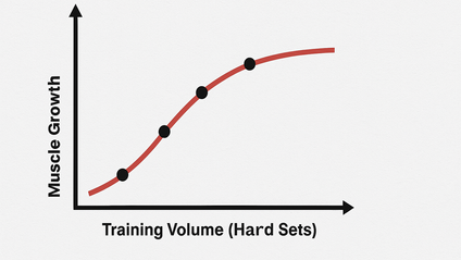 Product image for Relación Dosis Respuesta, Volumen de Entrenamiento - Vol 2, Ed 3.