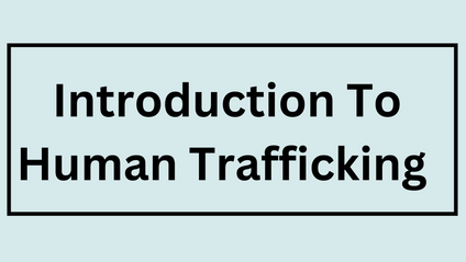Product image for Introduction To Human Trafficking