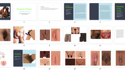 Product image for Reproduction Rights to Anatomy of Pleasure: A Taste of the Genital Galaxy