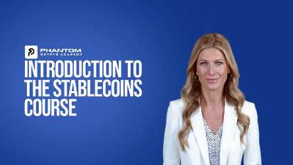 Product image for Stable Coins Primer