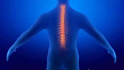 Product image for Back Pain Relief Solution