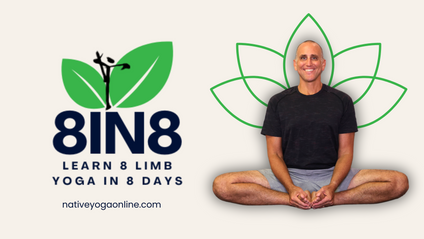 Product image for Ashtanga Yoga for Beginners - 8 Limbs in 8 Days