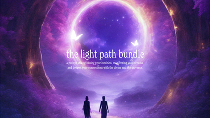 Product image for The Light Path