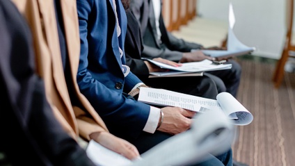 Product image for High-level delegation visit