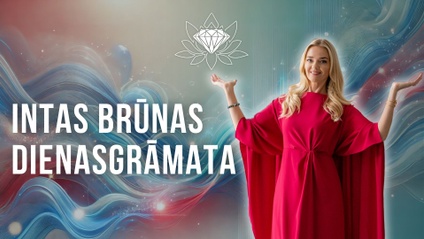 Product image for Intas Brūnas dienasgrāmata