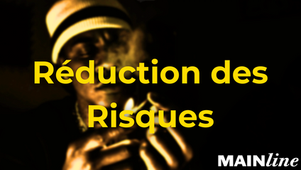 Product image for Réduction des Risques 