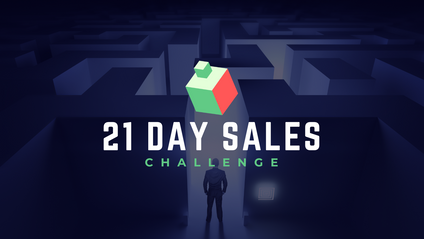 Product image for The 21 Day Sales Challenge