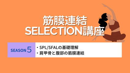 Product image for 《筋膜連結selection！！SEASON5》 SPL/SFALとは？