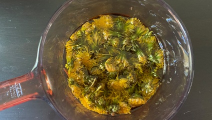 Product image for Understanding Herbal Preparations - Tinctures, Infused Oils, Essential Oils, and Flower Essences