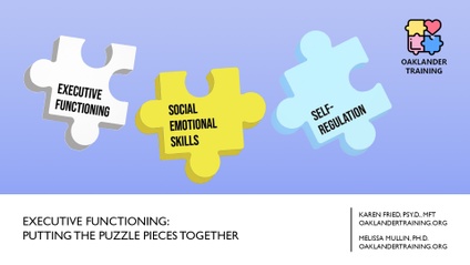 Product image for Executive Functioning: Putting the Puzzle Pieces Together
