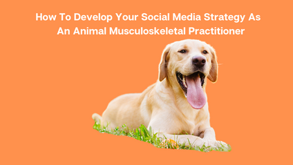 Product image for Social Media For Animal Musculoskeletal Practitioners