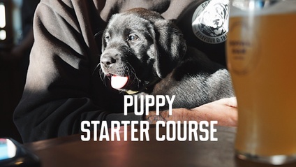 Product image for Puppy Starter Course