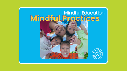 Product image for Mindful Practices