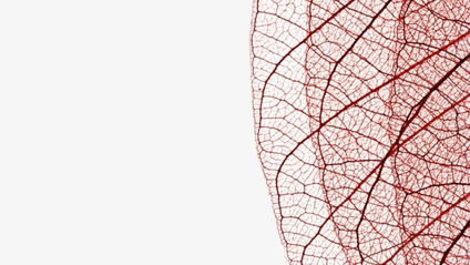 Product image for Acupuncture Channel Systems: Luo Vessels