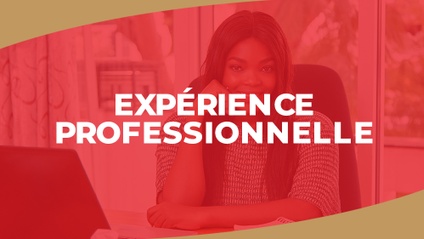 Product image for IGTC01HR - Expérience professionnelle (FR)