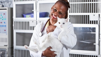 Product image for Pathogenic Bacteria Carried by Cat Fleas