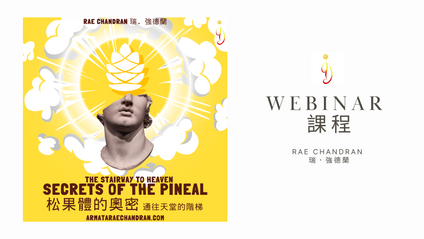 Product image for Secrets of the Pineal 松果體的奧密