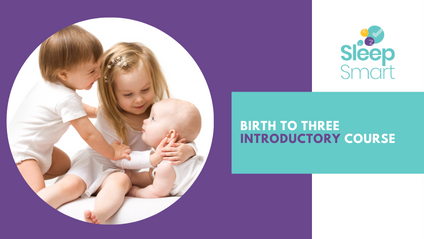 Product image for Introduction to Safe Sleep and Settling for Health Professionals.