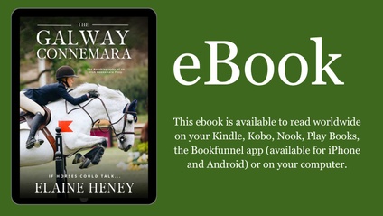 Product image for The Galway Connemara EBOOK