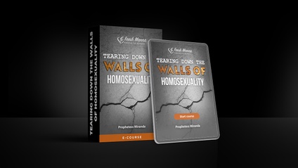 Product image for Tearing Down the Walls of Homosexuality