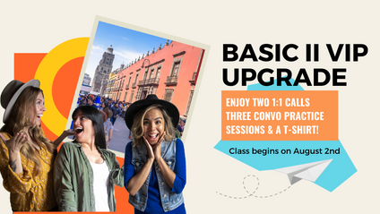 Product image for Basic Travel Spanish II VIP Add On 