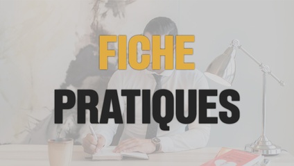 Product image for Fiches Pratiques