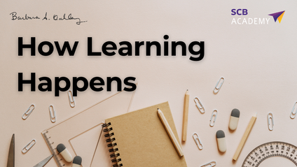 Product image for HOW LEARNING HAPPENS
