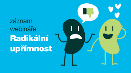 Product image for RADIKÁLNÍ UPŘÍMNOST: Jak sdělovat i přijímat kritiku a přitom zachovat kvalitní vztahy? 
