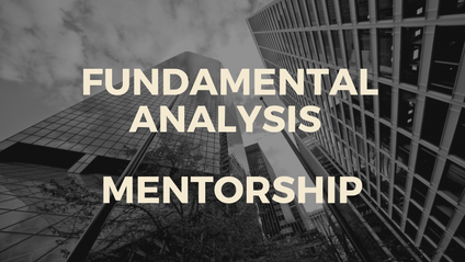Product image for Comprehensive mentorship with fundamental analysis