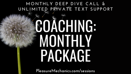 Product image for Monthly Coaching Plan