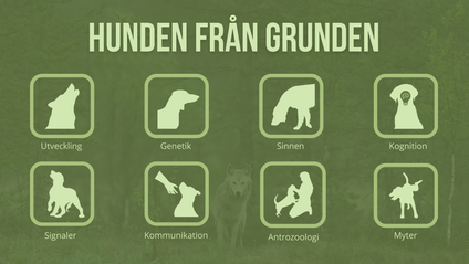 Product image for Hunden från grunden