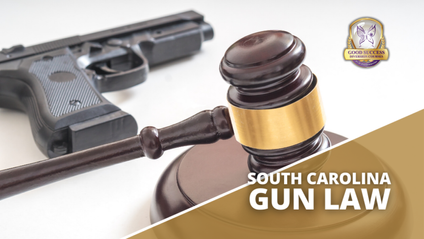 Product image for South Carolina Gun Law