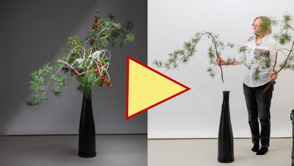 Product image for HOLIDAY SEASON DECORATIONS