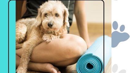 Product image for A Dog Lover's Guide To Practicing Mindfulness