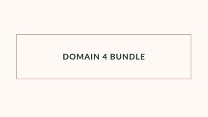 Product image for Domain 4 Bundle