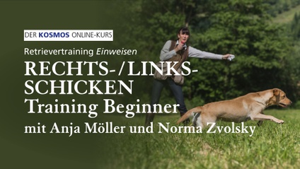 Product image for Retrievertraining EINWEISEN | Rechts- / Links-Schicken Training Beginner