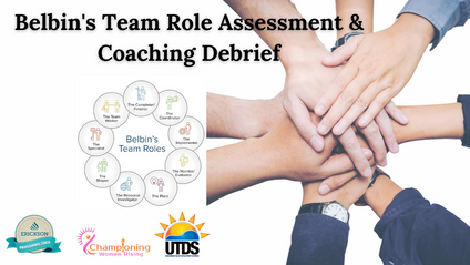 Product image for Belbin's Team Role Assessment & Coaching Debrief