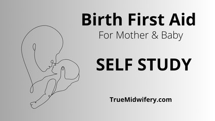 Product image for Birth First Aid for Mother and Baby (SELF STUDY)