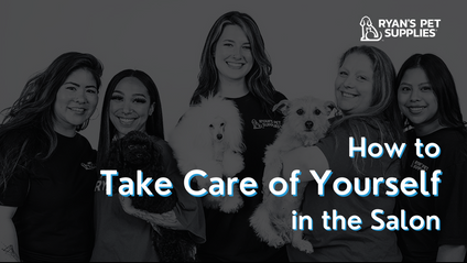 Product image for How to Take Care of Yourself in the Salon