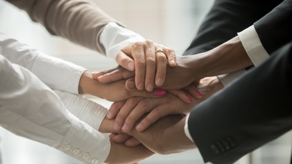 Product image for 12 Pillars of an Effective Mentoring Relationships